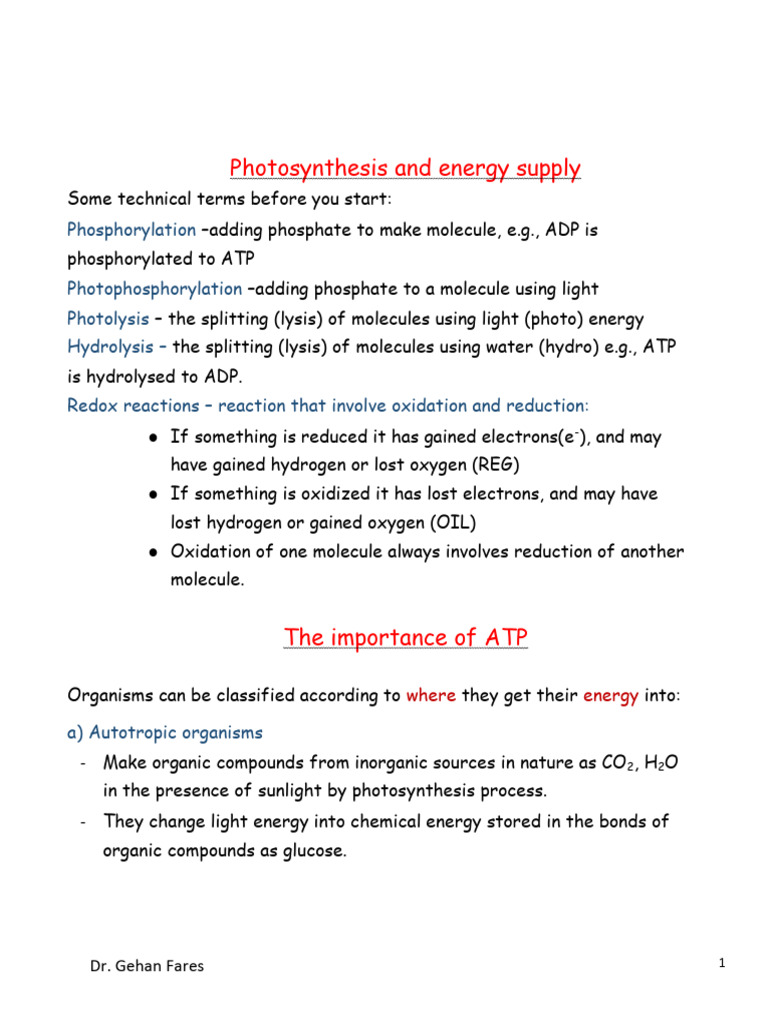 Unit 4 Final Notes | PDF | Chloroplast | Photosynthesis