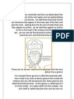 oral histology (second script )