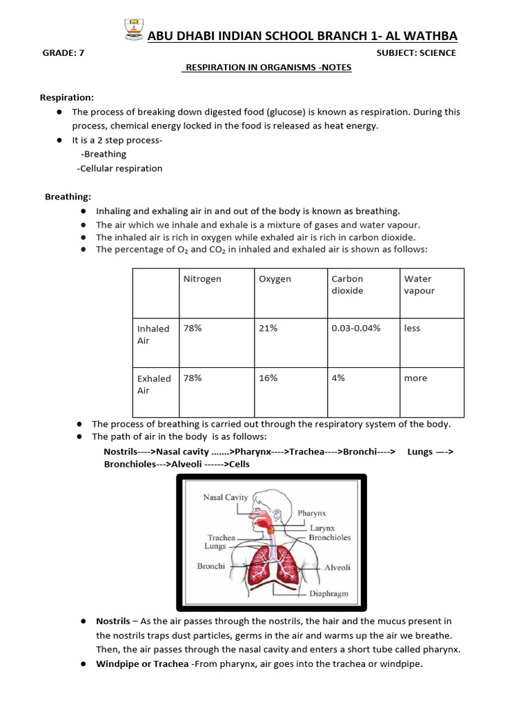 Science Notes on Respiration in Organisms | PDF | Respiratory System ...