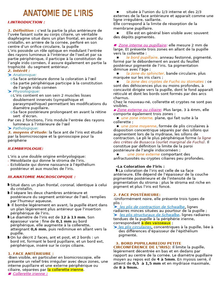 Anatomie et Fonction de l'Iris | PDF | Anatomie | Œil