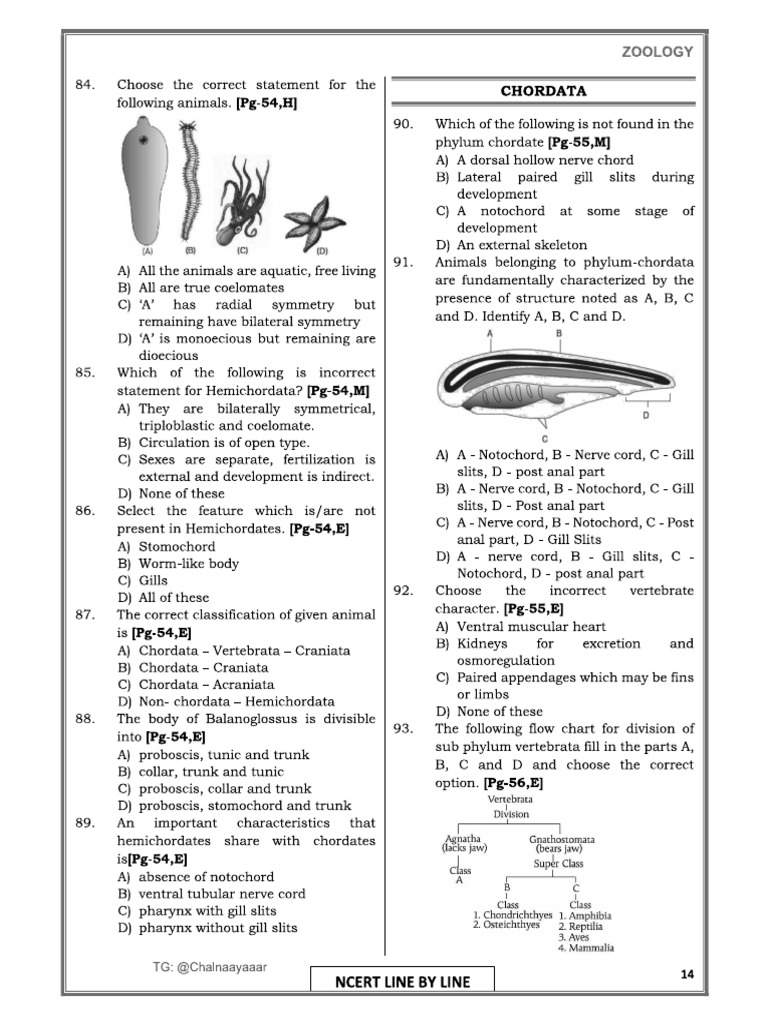 CHORDATES BOOK PDF DOWNLOAD visual data 3
