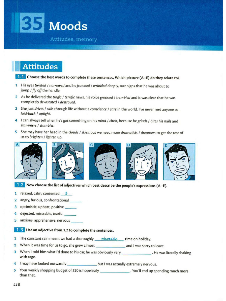 Unit 35 Moods | PDF