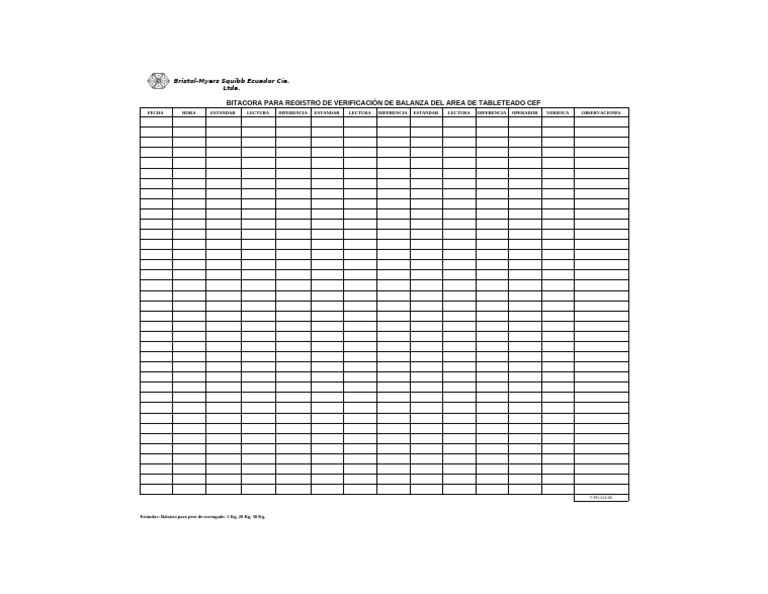 Registro de Verificación de Balanza CEF | PDF