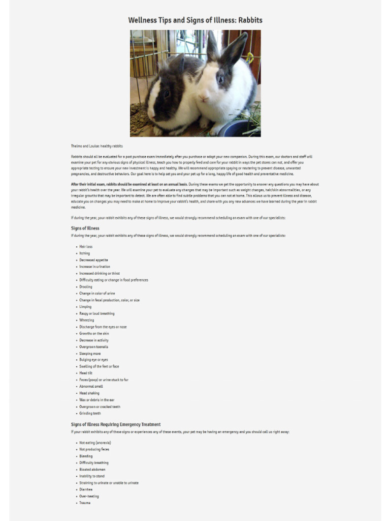 CAEM - Wellness Tips and Signs of Illness in Rabbits | PDF | Medical ...