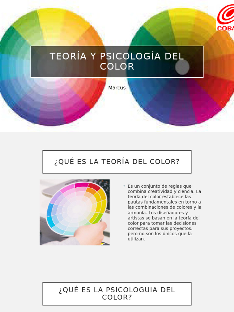 Teor a Y Psicolog a Del Color PDF