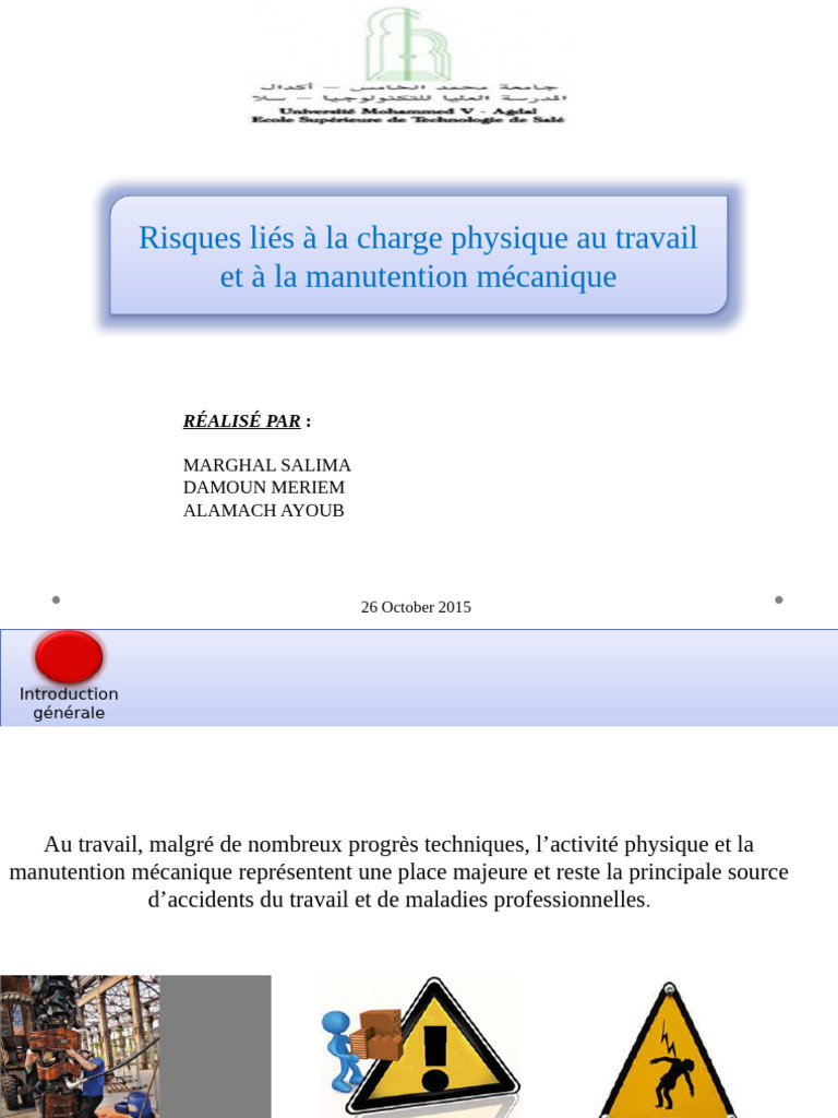 Les-risques-final | PDF