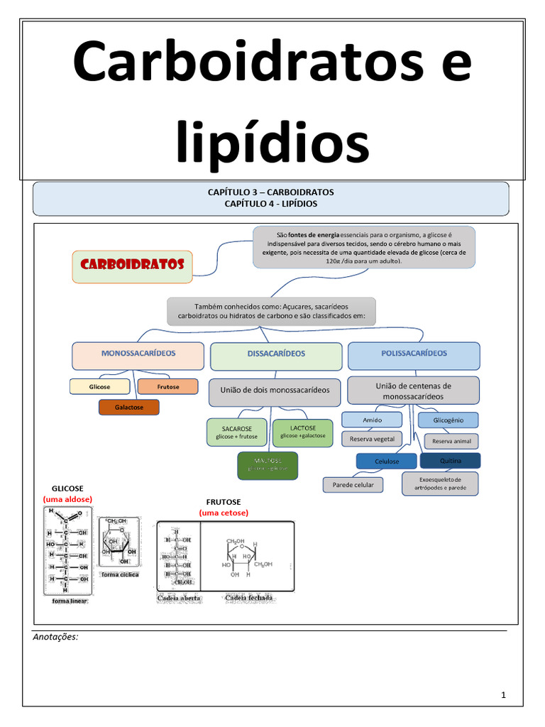 Carboidratos e Lipídios na Biologia | PDF | Lipídio | Compostos orgânicos