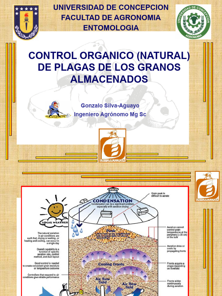 Control Orgánico de Plagas en Granos | PDF | Control biológico de plagas