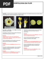 Estruturas e Morfologia da Flor | PDF | Fruta | Flores