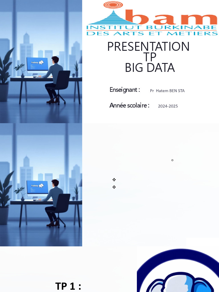 TP Big Data : Hadoop et MapReduce | PDF | Apache Spark | Programmation ...