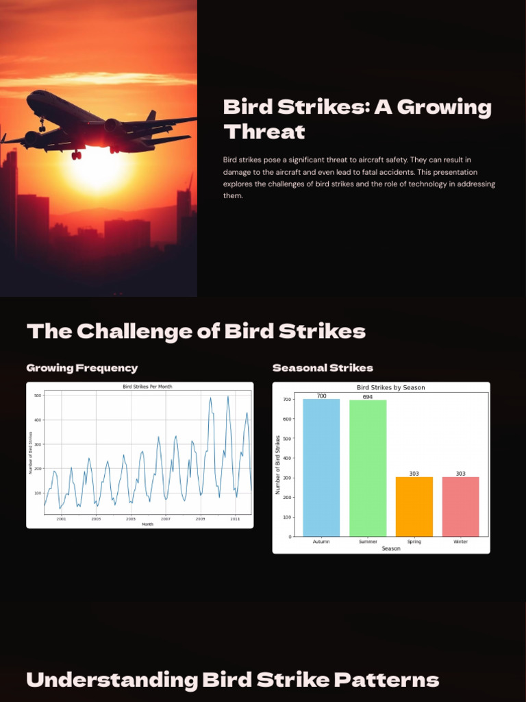 Bird-Strikes | PDF | Aviation
