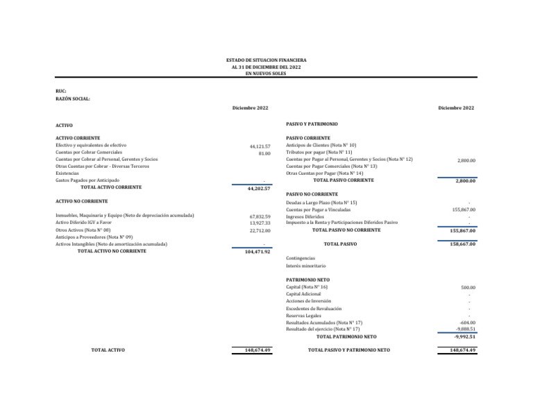 Estado de Situacion Financiera | PDF | Activo fijo | Servicios financieros