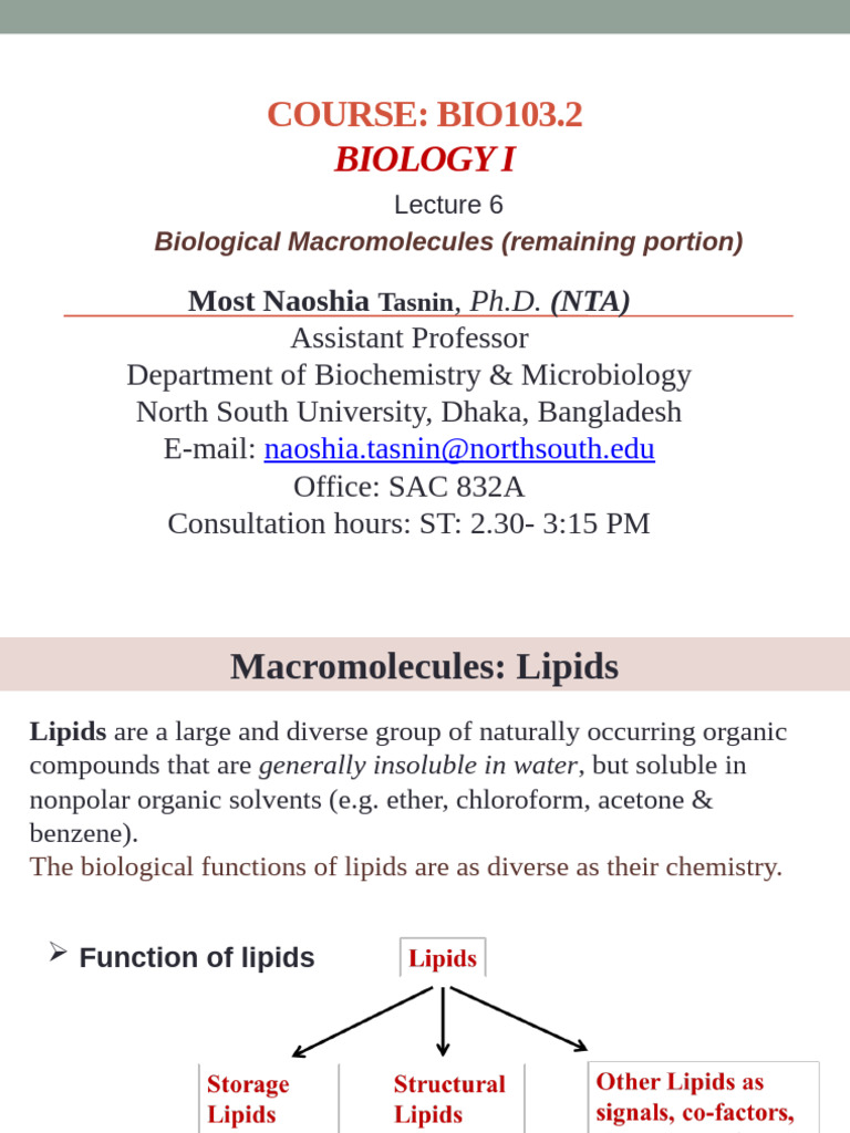 Lec+06 NTA BM 04.02.2025 | PDF | Dna | Nucleic Acids