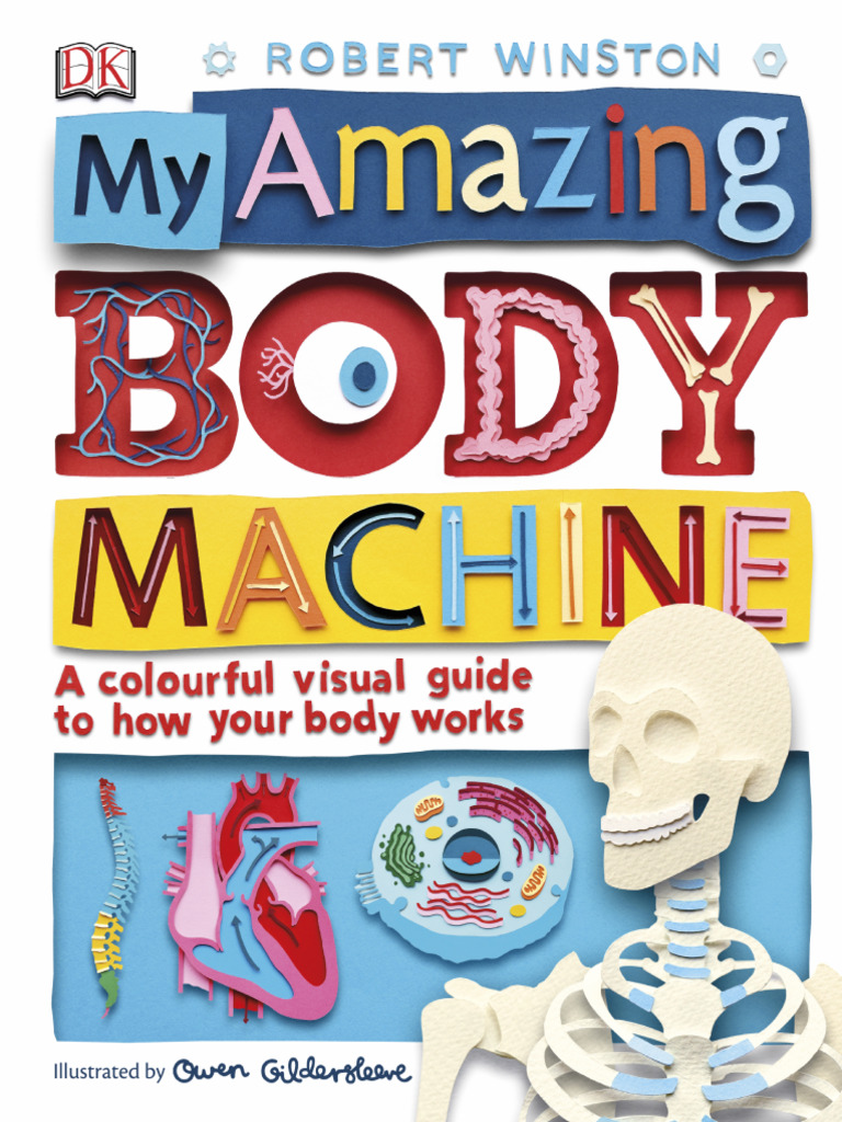My Amazing Body Machine (DK) (Z-Library) | PDF | Human Body | Skin