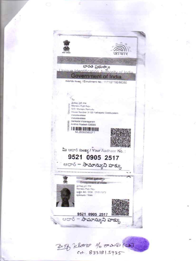 Bhu Records | PDF