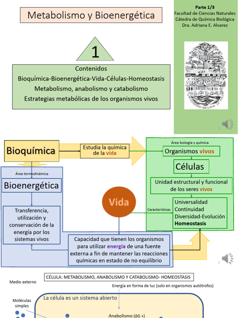 1-Metabolismo y Bioenergética-Parte 1 | PDF | Organismos | Metabolismo