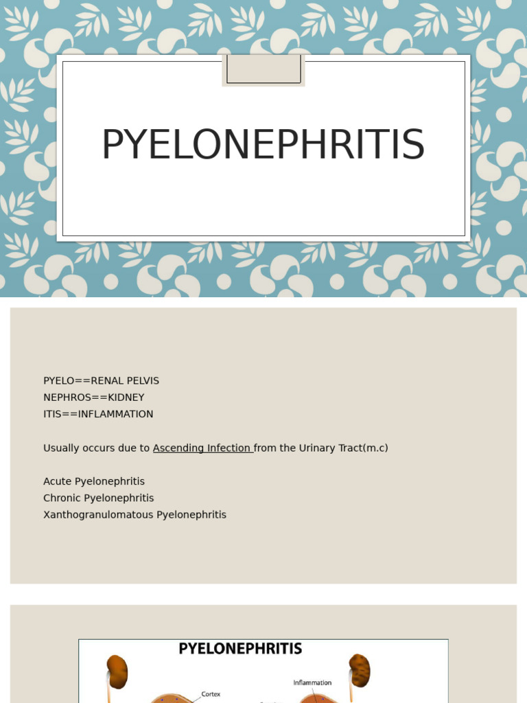 Overview of Pyelonephritis Types | PDF | Kidney | Medical Specialties