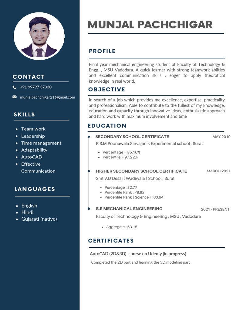 Blue Simple Professional CV Resume | PDF