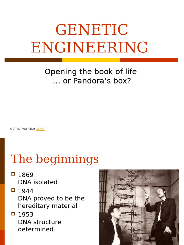 Genetic Engineering | PDF | Molecular Cloning | Dna