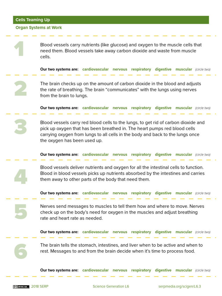 Brain and Body Systems Collaboration | PDF