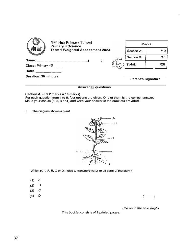 P4 Science Term 1 Assessment 2024 | PDF