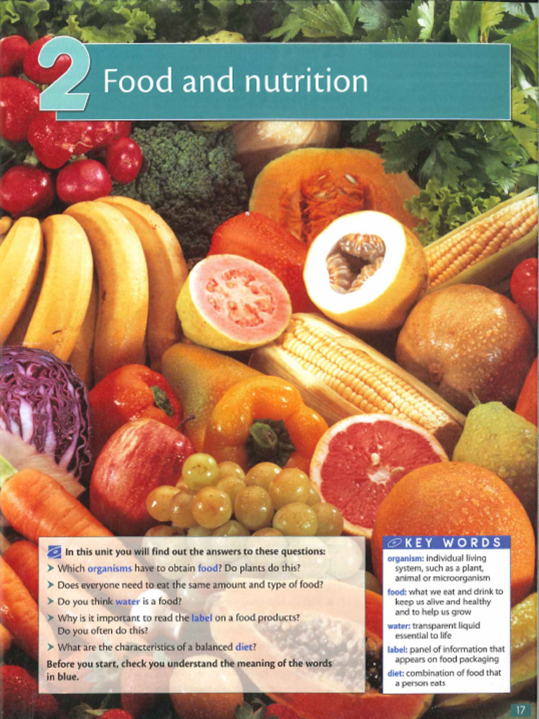 Food | PDF