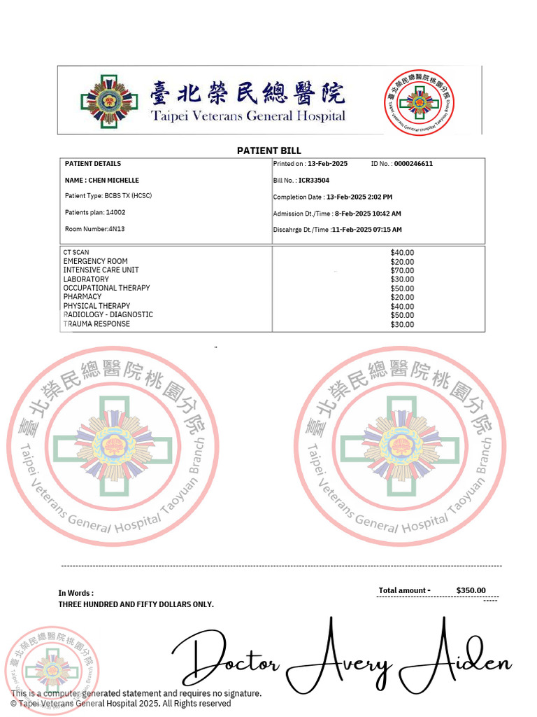 CT Scan Bill for Michelle Chen | PDF | Emergency Department | Clinical ...