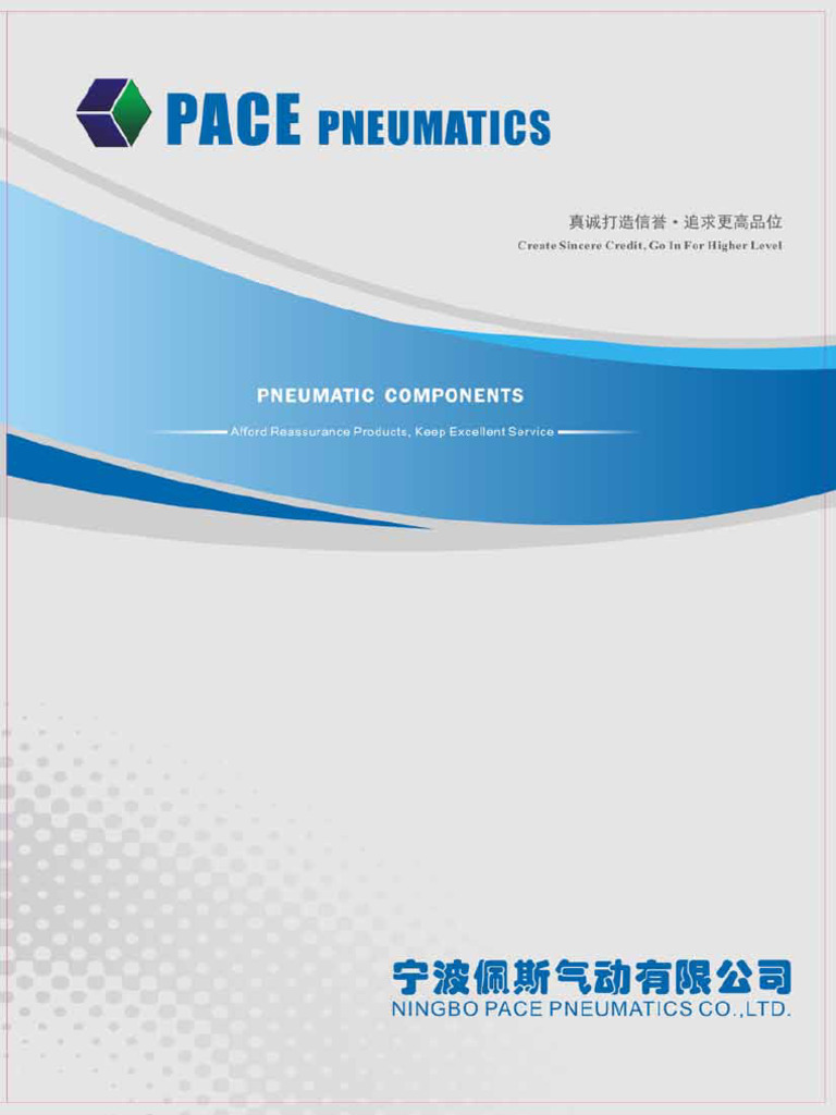 Pneumatic Accessories - Pace Pneumatics | PDF
