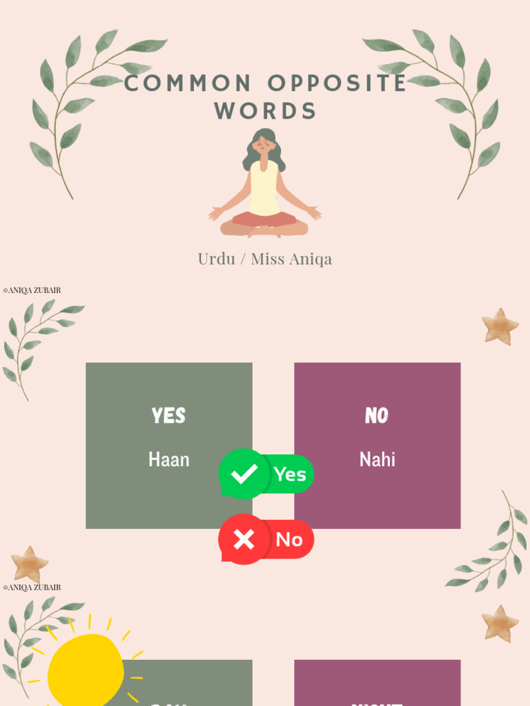 Common Opposite Words | PDF