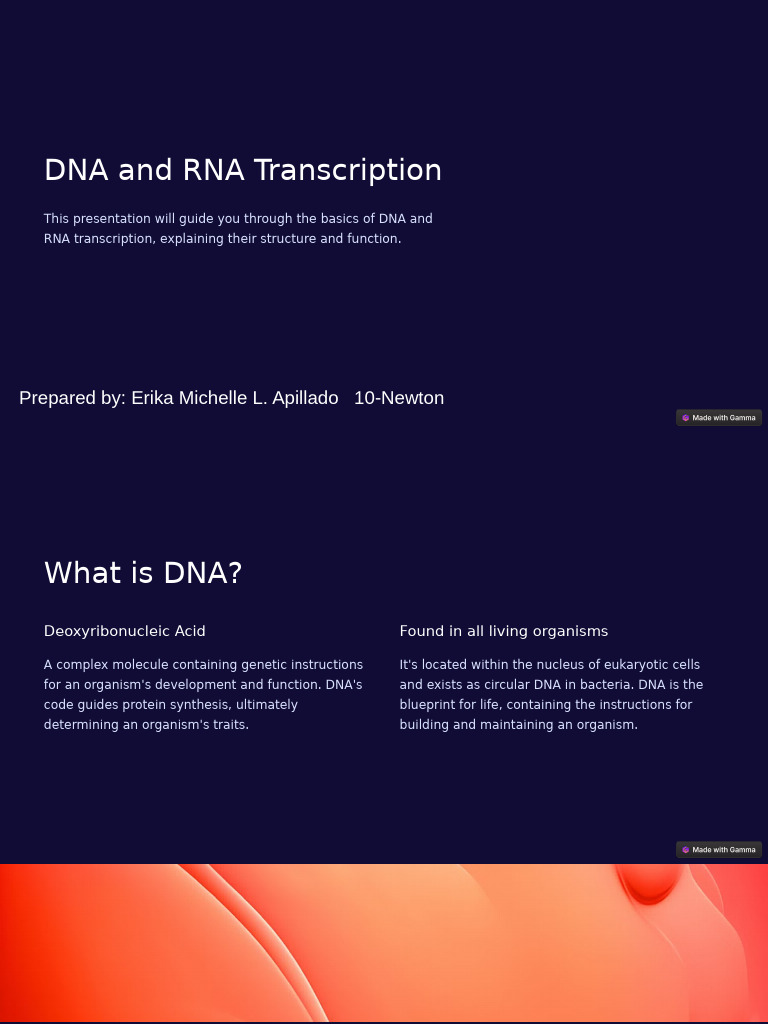 DNA and RNA Transcription Basics | PDF | Rna | Dna