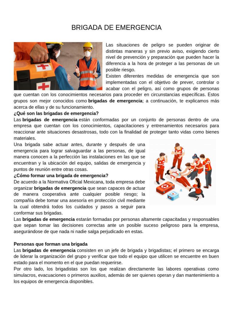 Formación y Tipos de Brigadas de Emergencia | PDF | Defensa Civil ...