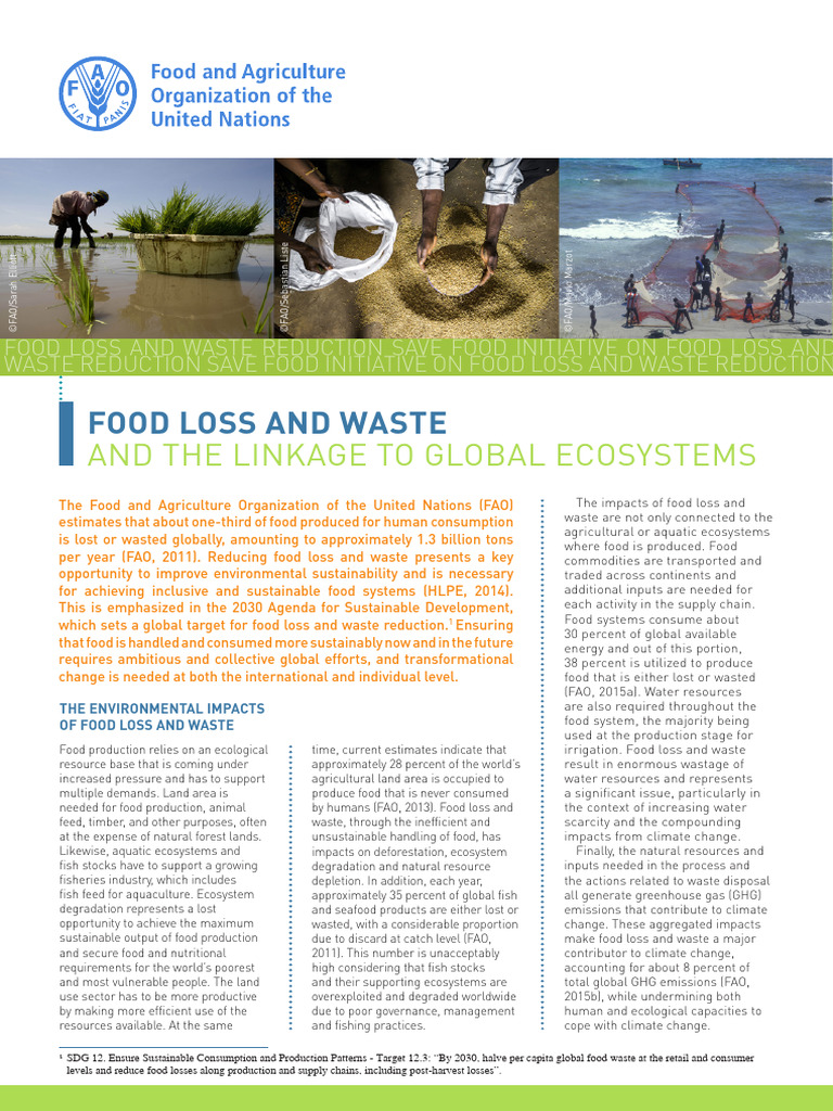 Food Loss and Waste Reduction Strategies | PDF | Sustainability ...