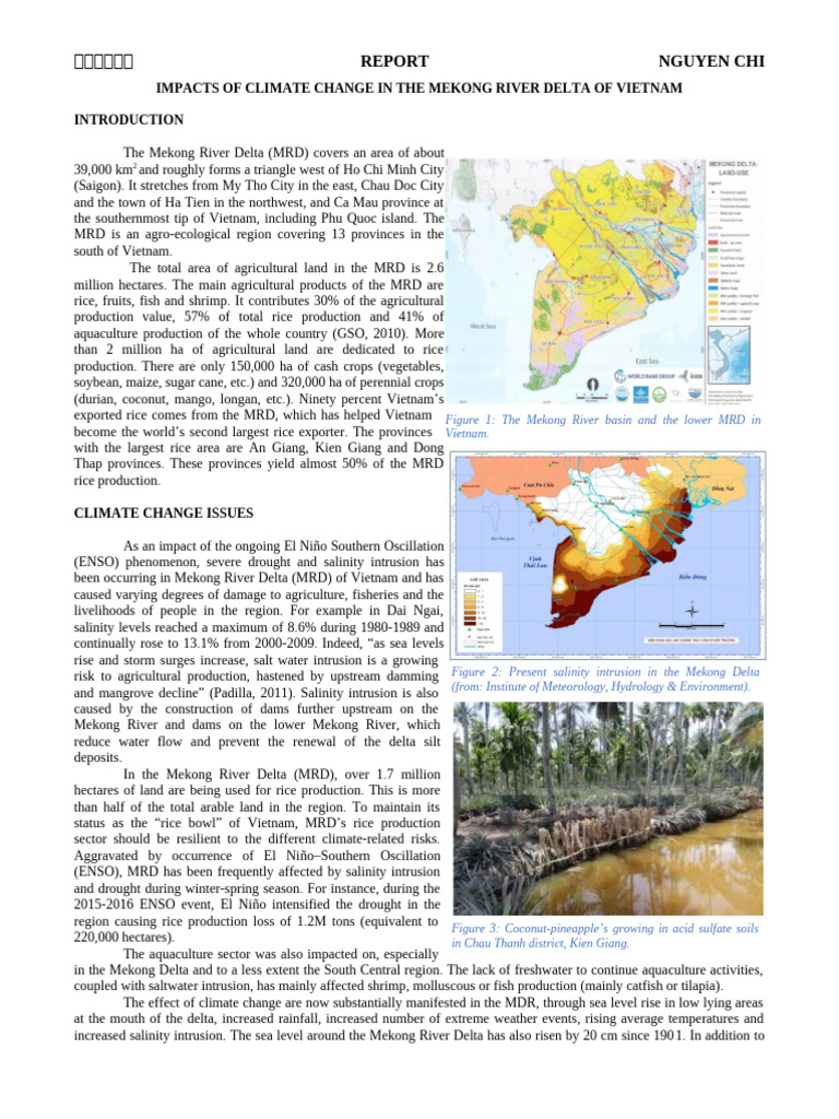 Climate Change Effects in Mekong Delta | PDF | Mekong | Agriculture