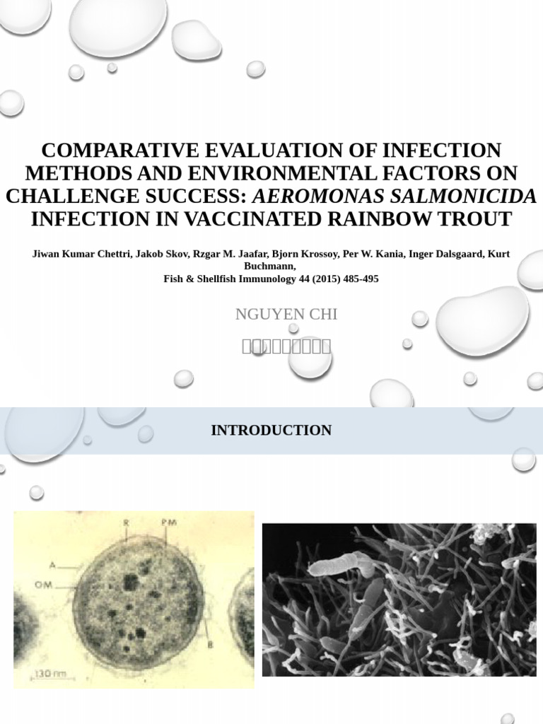 Infection Methods in Rainbow Trout Study | PDF | Complementary Dna ...