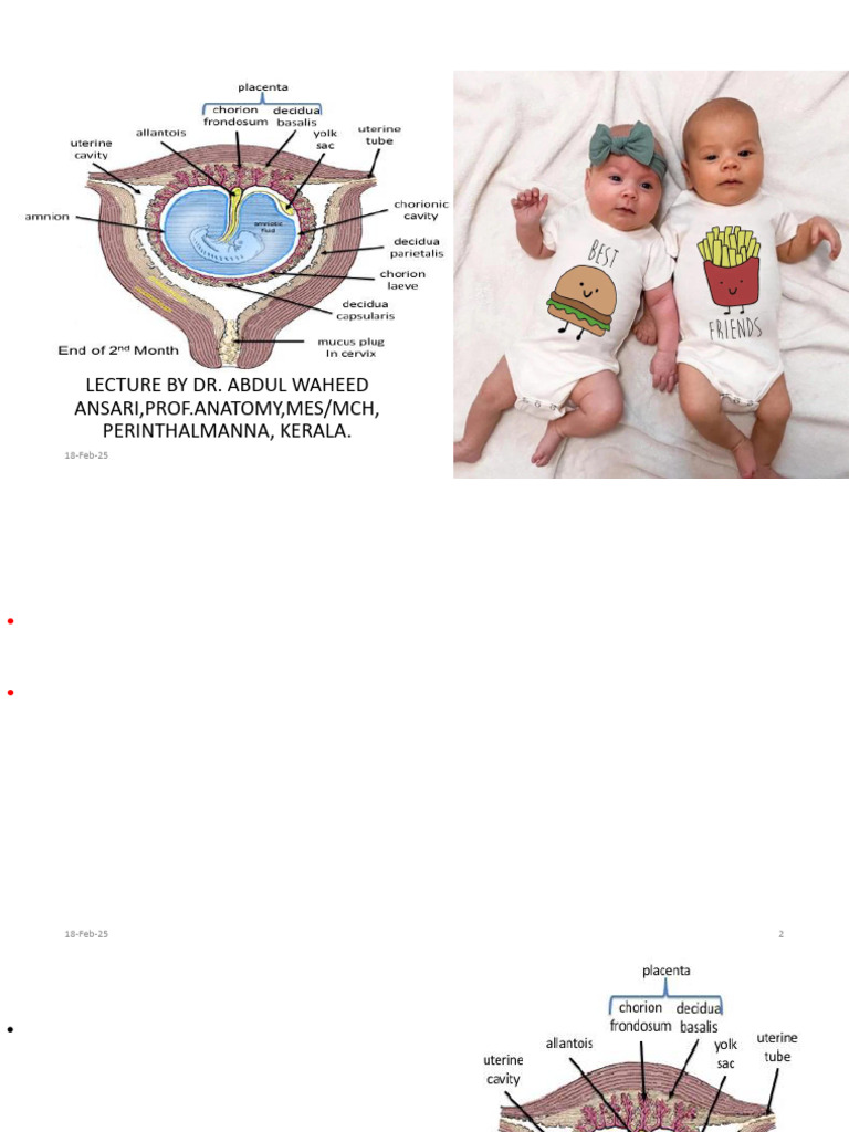 Fetal Membranes and Twinning Overview | PDF | Twin | Anatomy