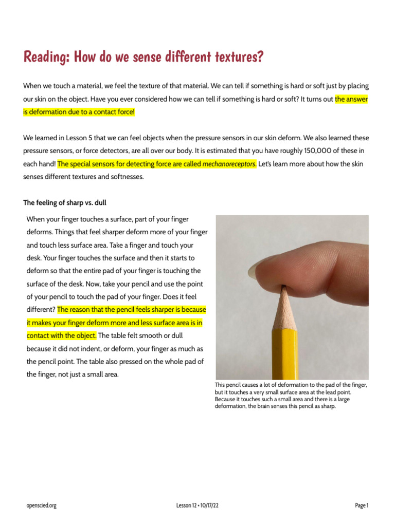 Understanding Texture Sensation | PDF | Senses | Finger