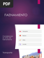 Proceso de Faenado de Bovinos | PDF | Menudencias | Carne