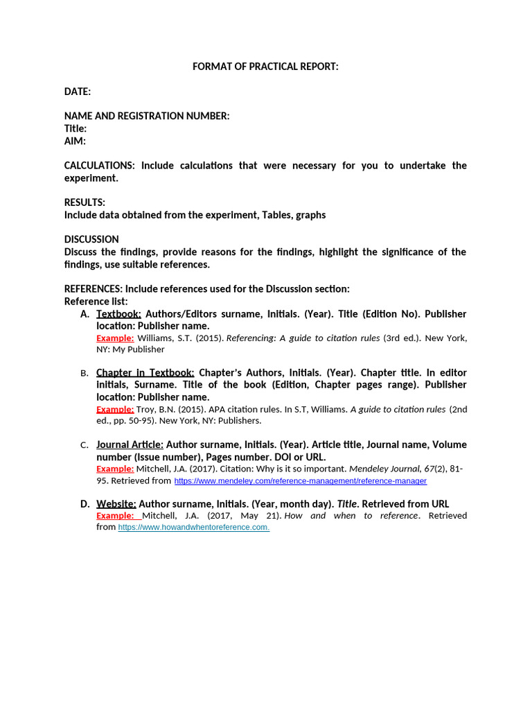 Practical Report Format Guide | PDF