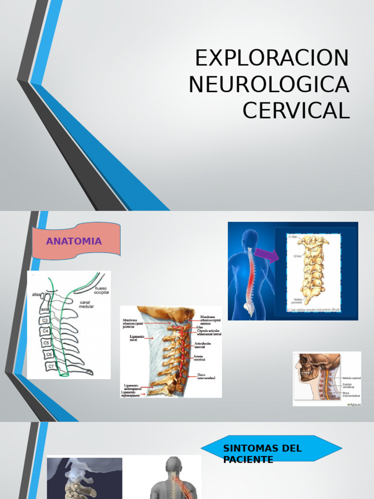 Exploración Neurológica Cervical y Síntomas | PDF | Dolor | Depresión ...