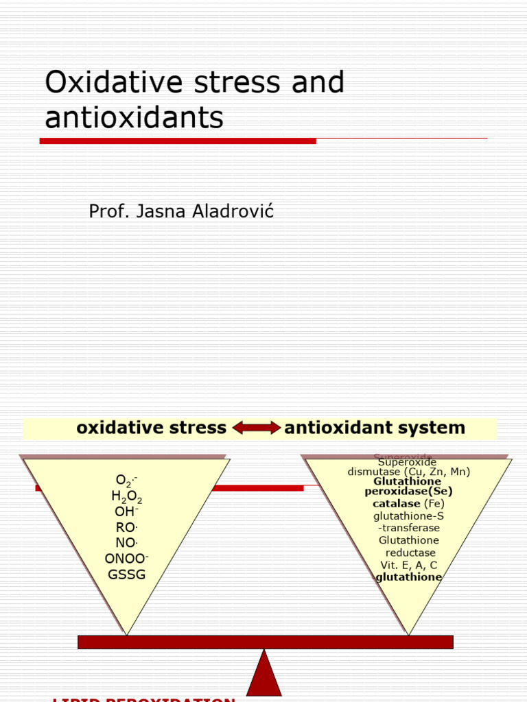 2024oxidative Stress | PDF | Antioxidant | Reactive Oxygen Species