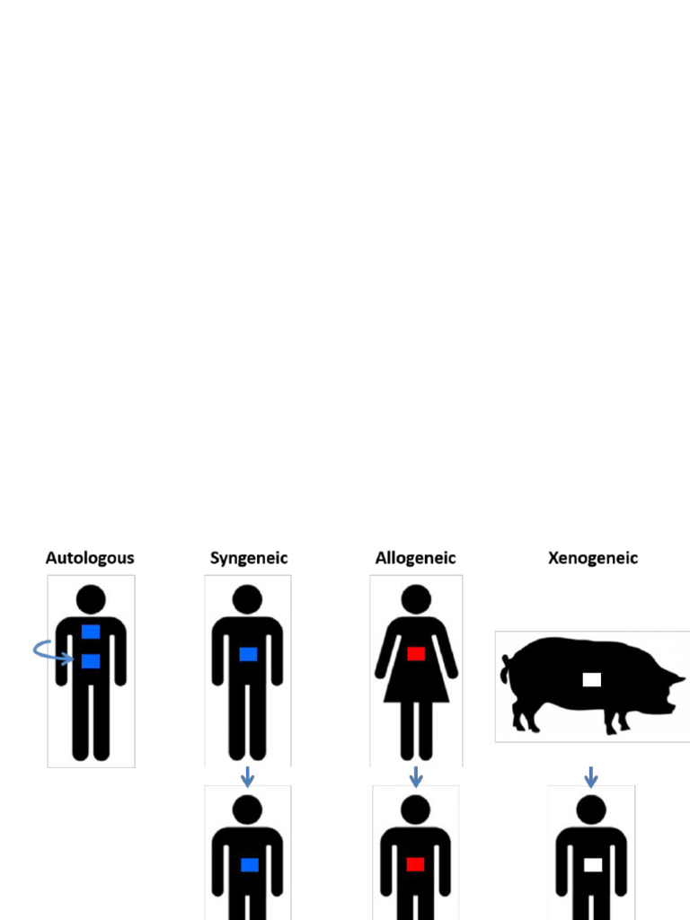 Organ Transplantation and Rejection Therapy | PDF