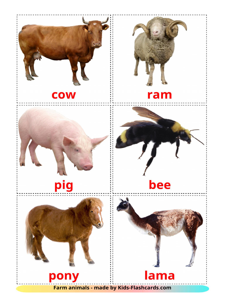 Farm Animals Flashcards for Kids | PDF