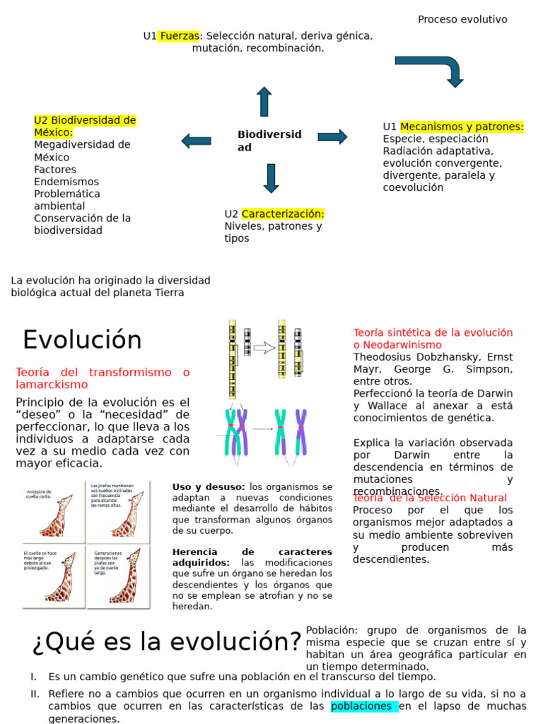Mecanismos de Evolución y Biodiversidad | PDF | Evolución | Seleccion ...