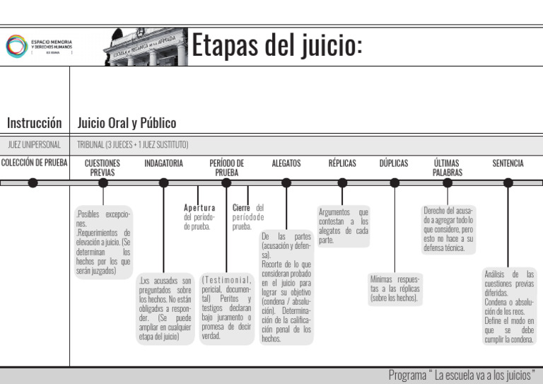 Etapas del Juicio y Tiempo Previo | PDF | Testigo experto | Ley común