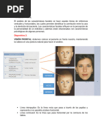 Tipos de Perfiles Faciales: Convexo, Cóncavo y Recto | PDF | Ciencia y ...