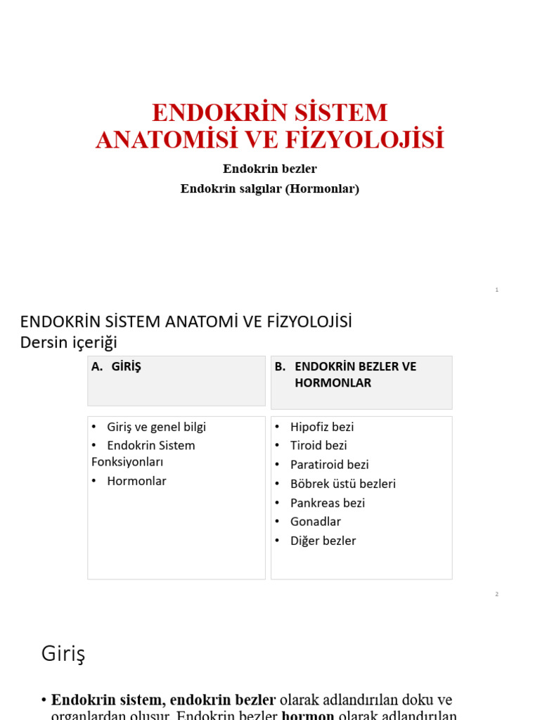 Ders 7 Endokri̇n Si̇stemssaa | PDF