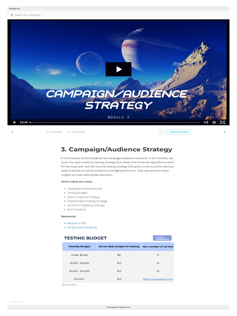 Campaign Audience Strategy | PDF
