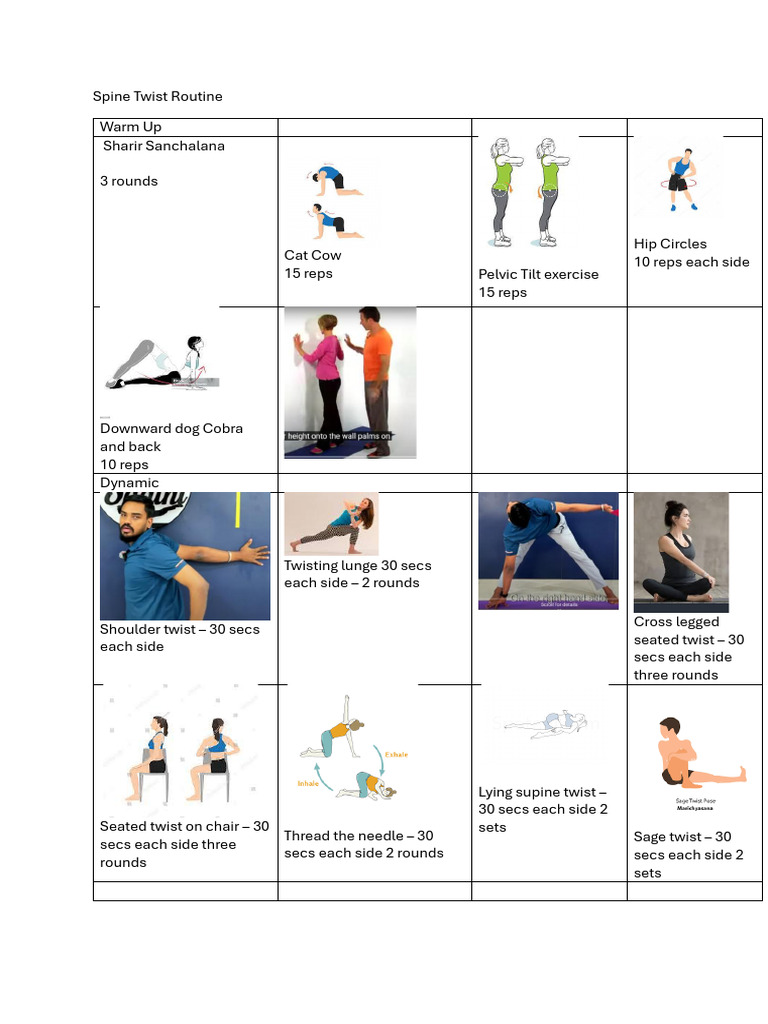 Supine Twist and Spine Exercises Routine | PDF