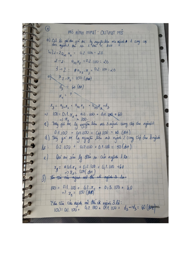 Mô Hình Input - Output M | PDF