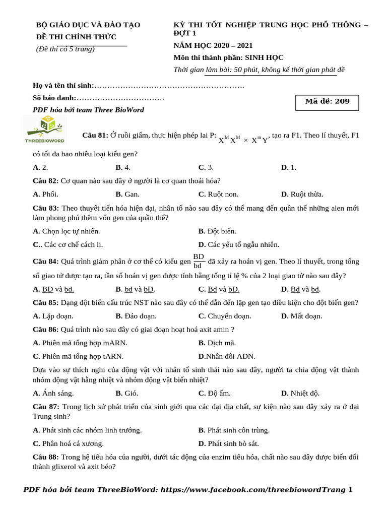 TNTHPT d1 2021 Ma 209 - 2972021165713 | PDF